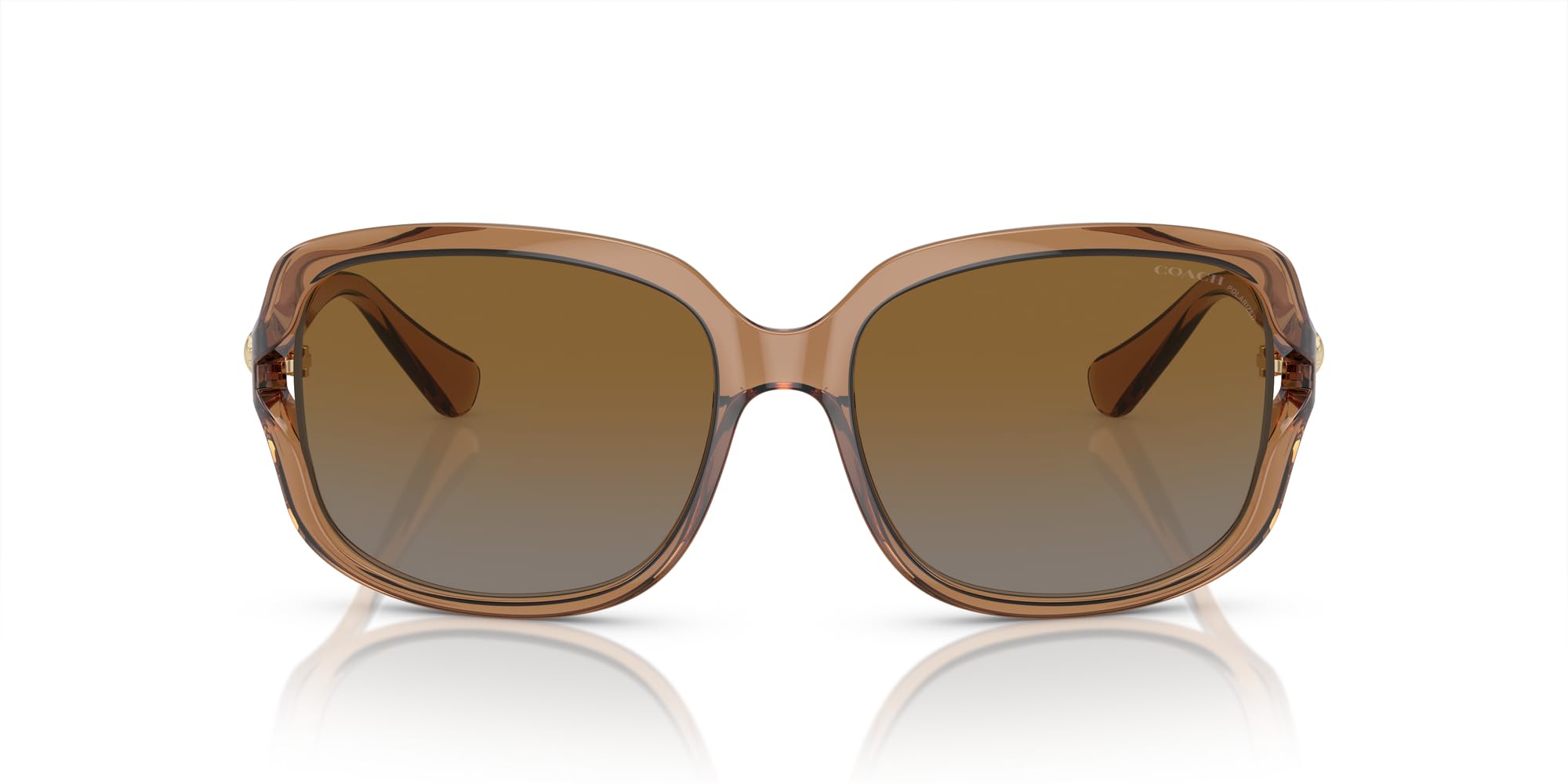 Woman Brown Gradient Lenses