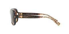 Woman Brown Gradient Lenses