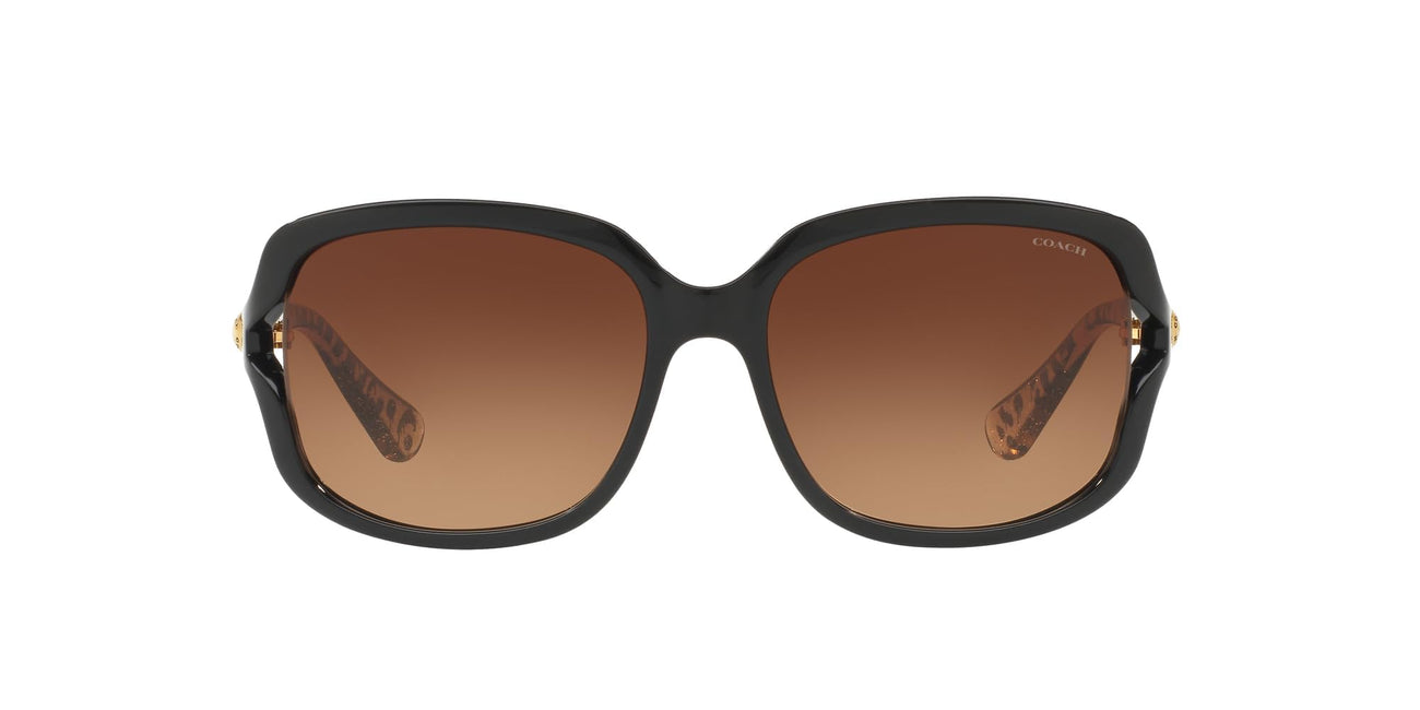 Woman Brown Gradient Lenses