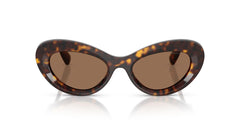 Universal Fit Cat Eye Sunglasses
