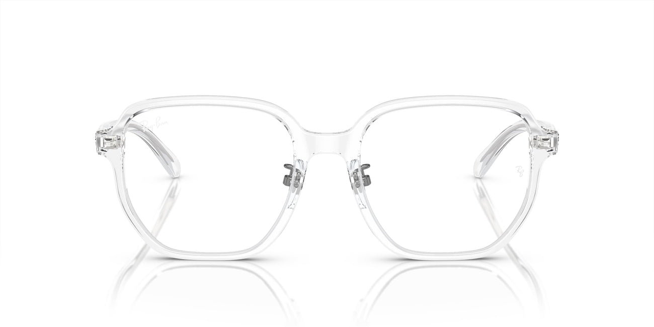 Clear Frame Glasses