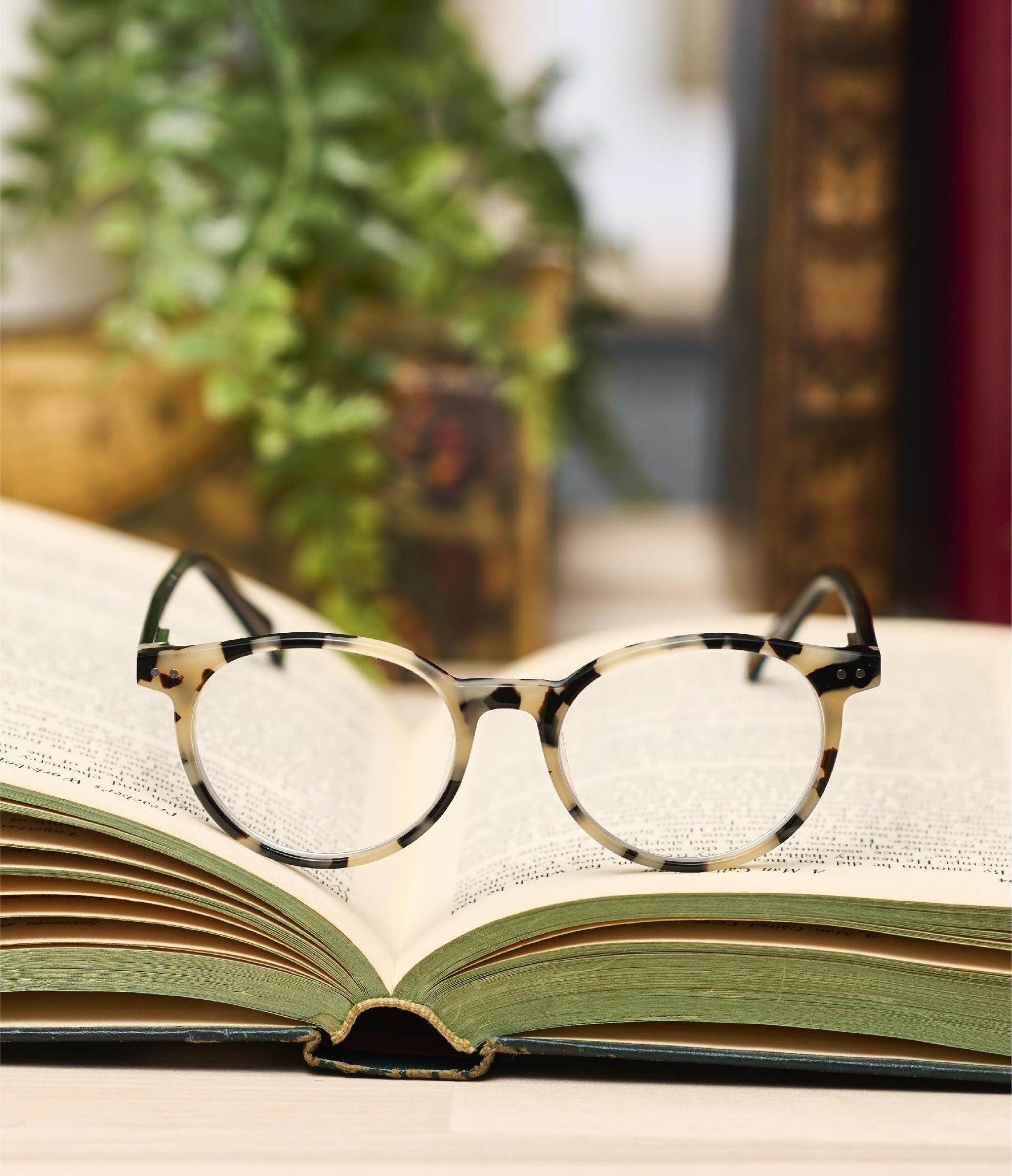 eyebobs - Case Closed | Premium Reading Glasses for Men and Women | Round Frame